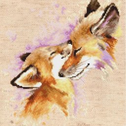 ​Лисья любовь