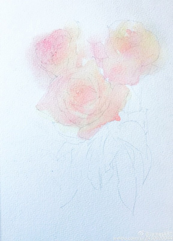 Розы акварелью Розы акварелью