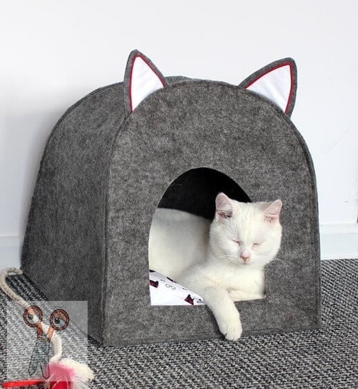 Место, где ваш питомец будет счастлив