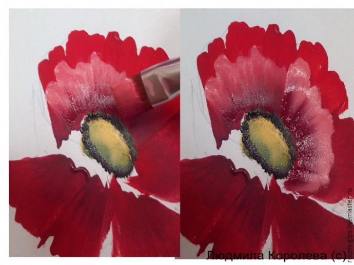 Рисуем прекрасный мак в технике One Stroke (двойной мазок): мастер-класс