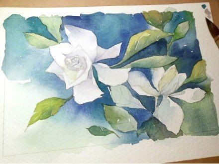 Ветка белых цветов акварелью