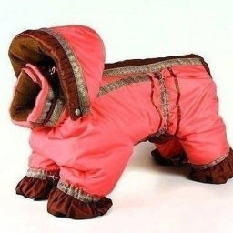 Шьем комбинезон для собачки