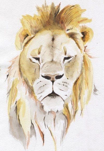 Рисуем царя зверей льва