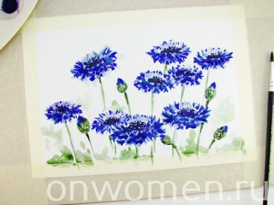 Васильки акварелью