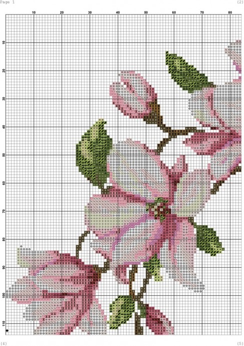 Венок магнолии