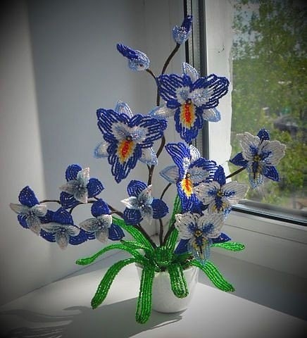 Красота для вашего вдохновения Красота для вашего вдохновения