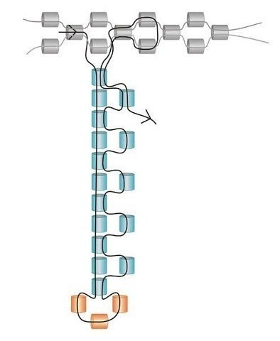 Кулон-звезда