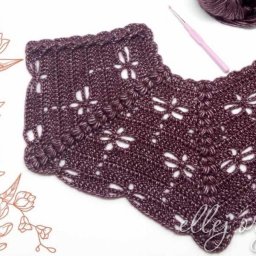 Реглан для кардигана со стрекозами