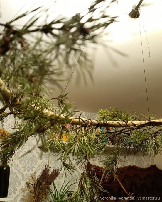 Высушивание еловых веток для декора