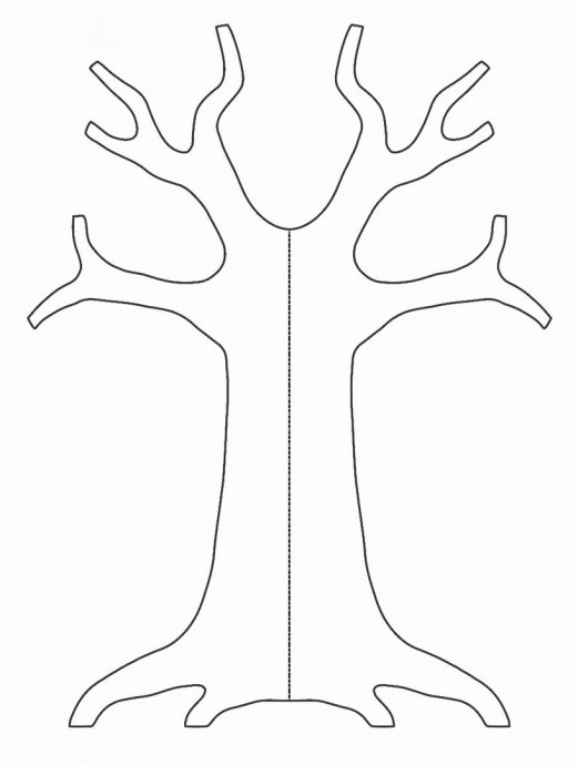 ​Денежное дерево