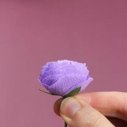 Раз, два и роза готова