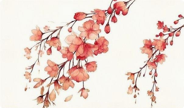 Учимся рисовать цвeты aквapeлью Учимся рисовать цвeты aквapeлью