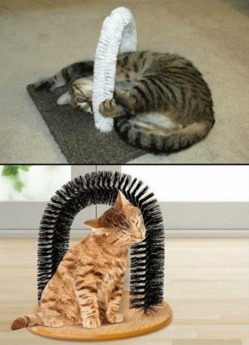 Интересные поделки для счастья кошек