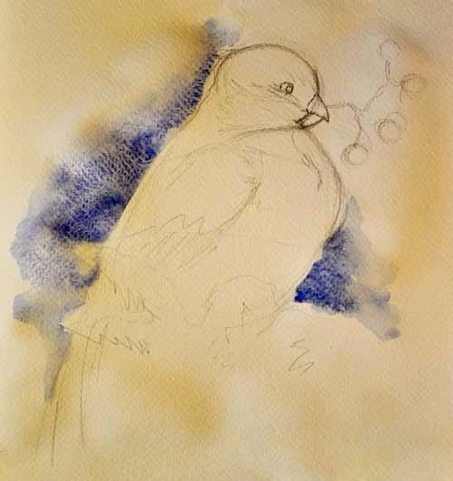 Рисуем снегиря