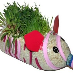 Витаминная свинка из пластиковой бутылки