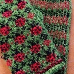 Божьи коровки