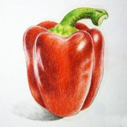 ​Урок рисования: перец