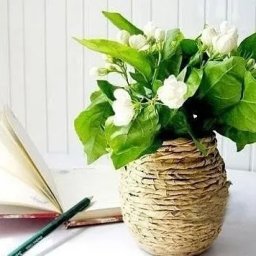 ​Ваза из обычной банки