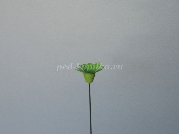 Цветы из бумаги