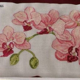 Вышитая орхидея