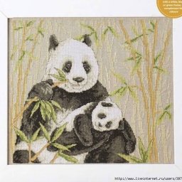 ​Панды в обнимку