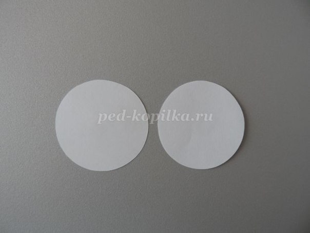 Цветы из бумаги