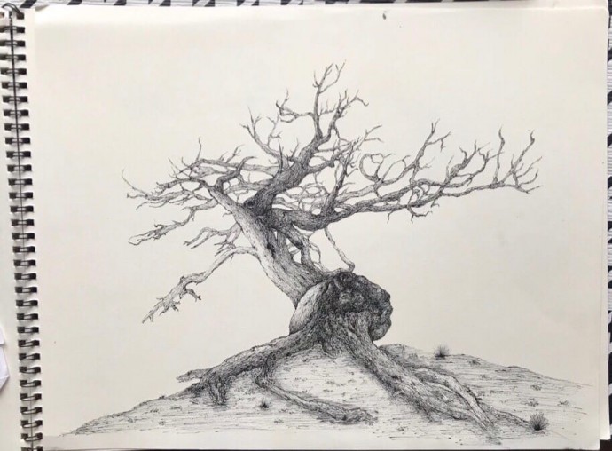 Рисуем дерево на горе: мастер-класс