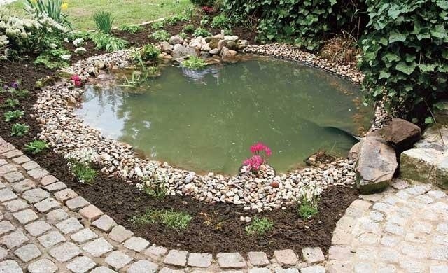 Декоративный прудик на даче: мастер-класс Декоративный прудик на даче: мастер-класс
