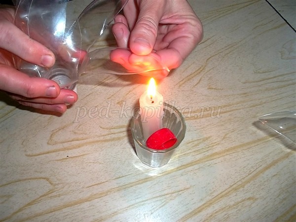 Цветы из пластиковых бутылок для сада: мастер-класс Цветы из пластиковых бутылок для сада: мастер-класс