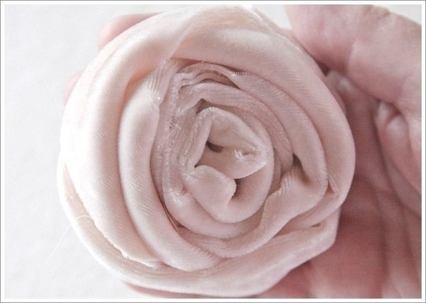 Бархатная розочка