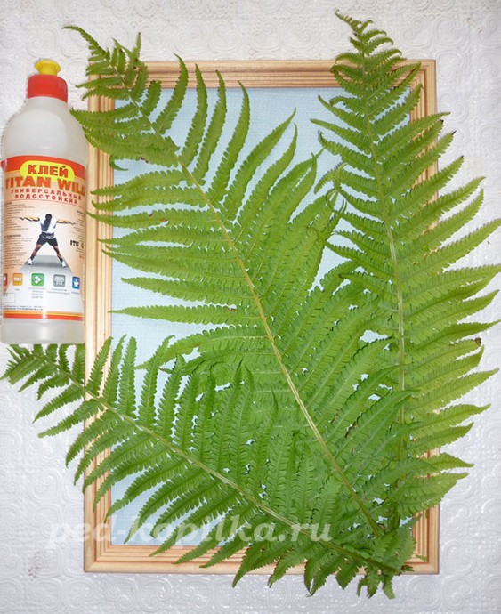 Розы из цитрусовых: мастер-класс