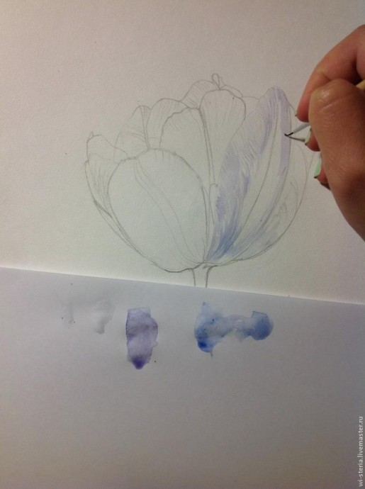 Зимний тюльпан в технике акварельной живописи Зимний тюльпан в технике акварельной живописи