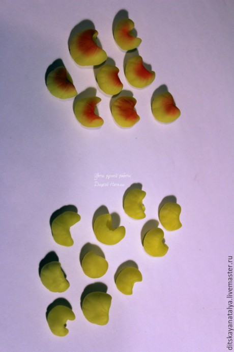 Кальцеолярия из полимерной глины