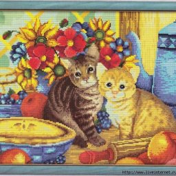 ​Вышиваем крестиком котят
