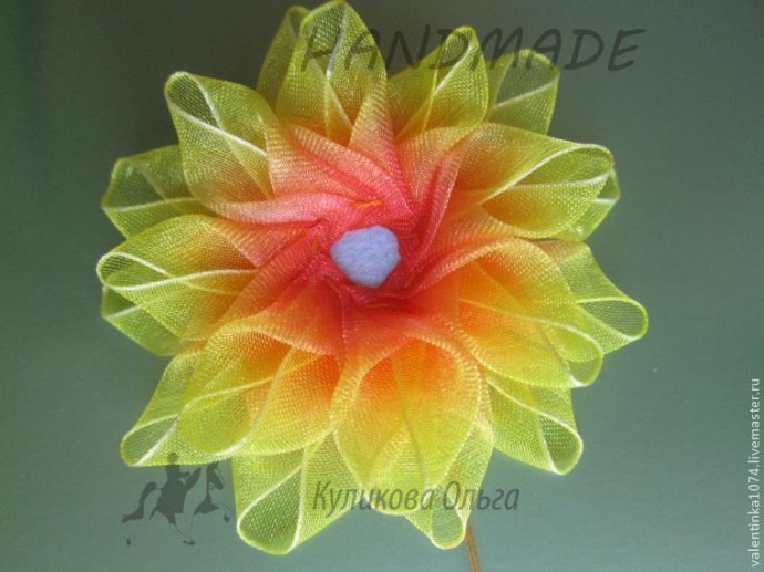 Невероятно красивые хризантемки