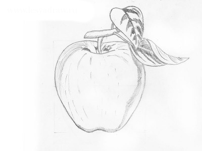 ​Рисуем яблоко простым карандашом