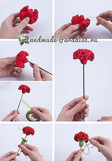 ​Вязаные гвоздики