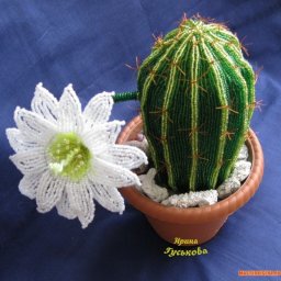 ​Идеи создания красивых кактусов из бисера