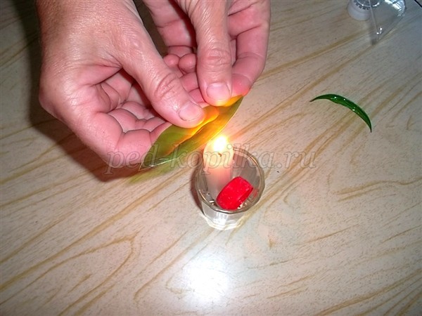 Цветы из пластиковых бутылок для сада: мастер-класс Цветы из пластиковых бутылок для сада: мастер-класс