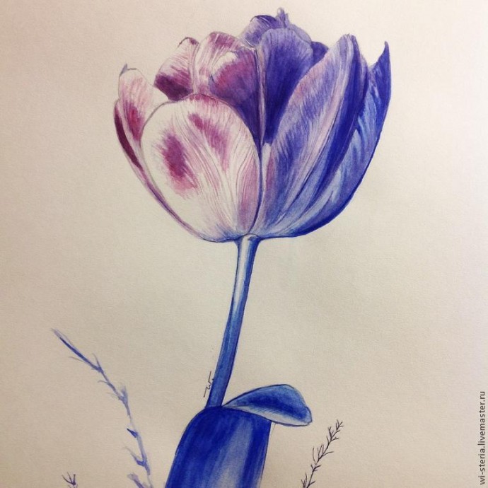 Зимний тюльпан в технике акварельной живописи Зимний тюльпан в технике акварельной живописи