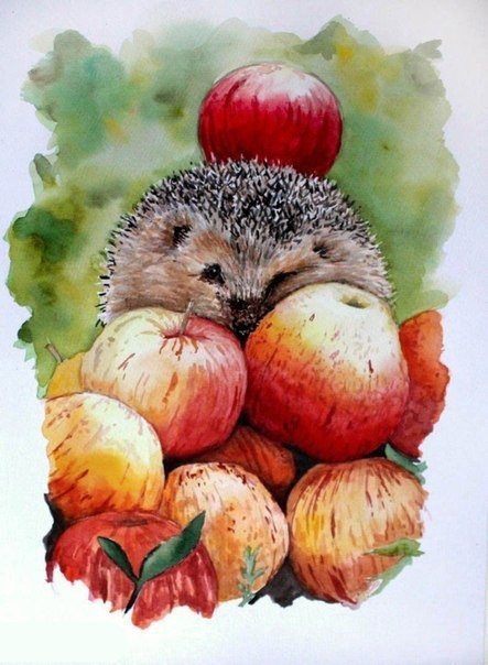 ​Рисуем осеннего сытого ёжика