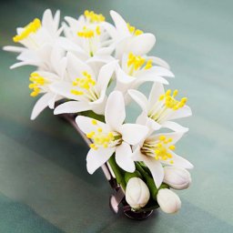 Нежные цветочки апельсина