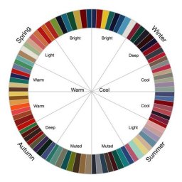 ​Искусство цветовых сочетаний