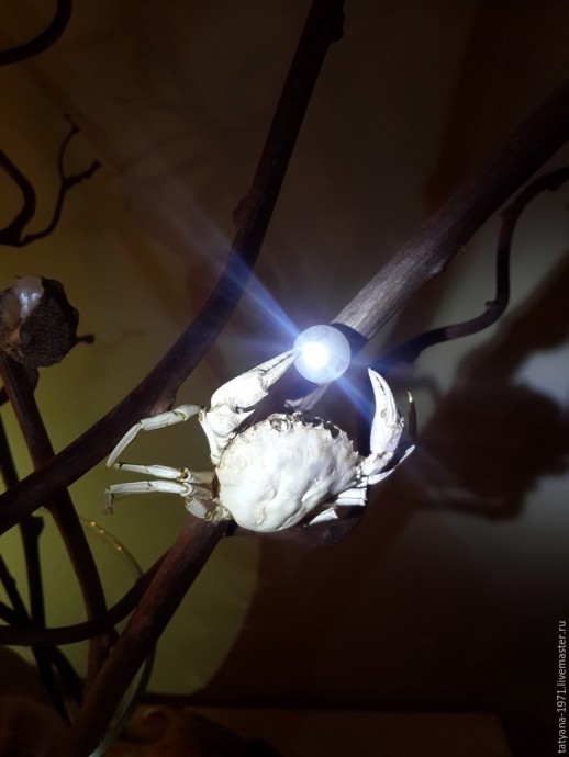 Композиция "Сокровища моря" Композиция "Сокровища моря"