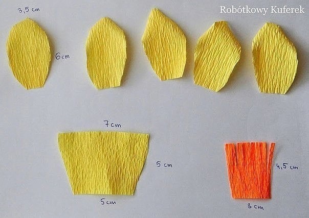 Нарциссы из гофрированной бумаги: мастер-класс Нарциссы из гофрированной бумаги: мастер-класс