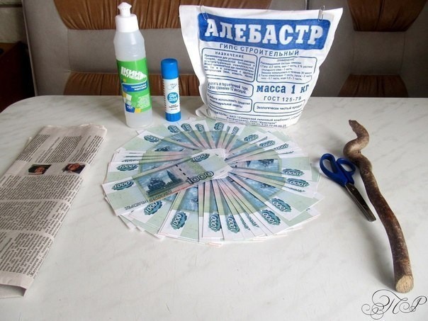 Денежное дерево