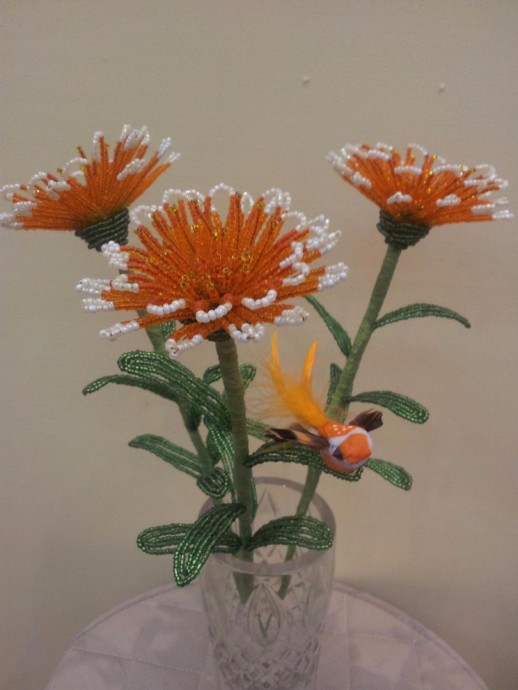 Милый оранжевый цветочек с белыми кончиками