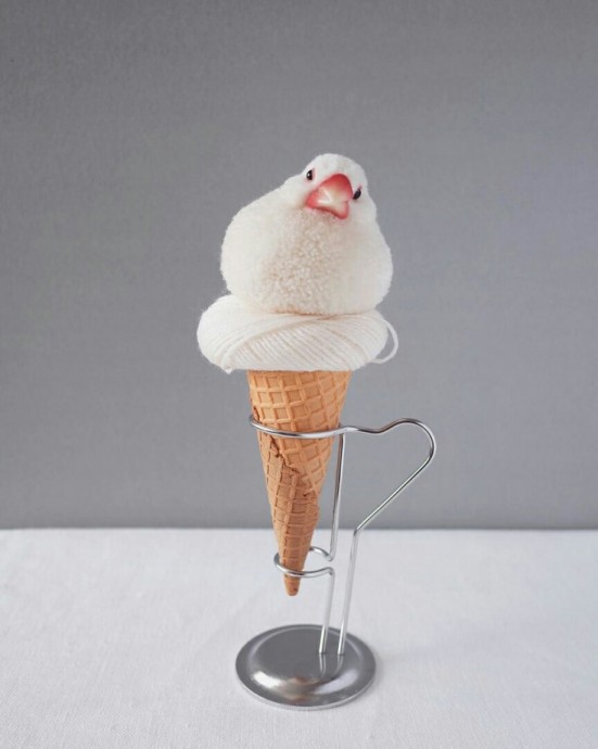 Удивительные помпоны