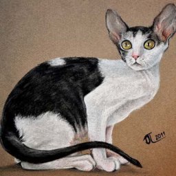 Ушастая кошка пастелью