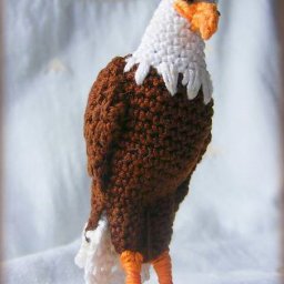 ​Белоголовый орлан